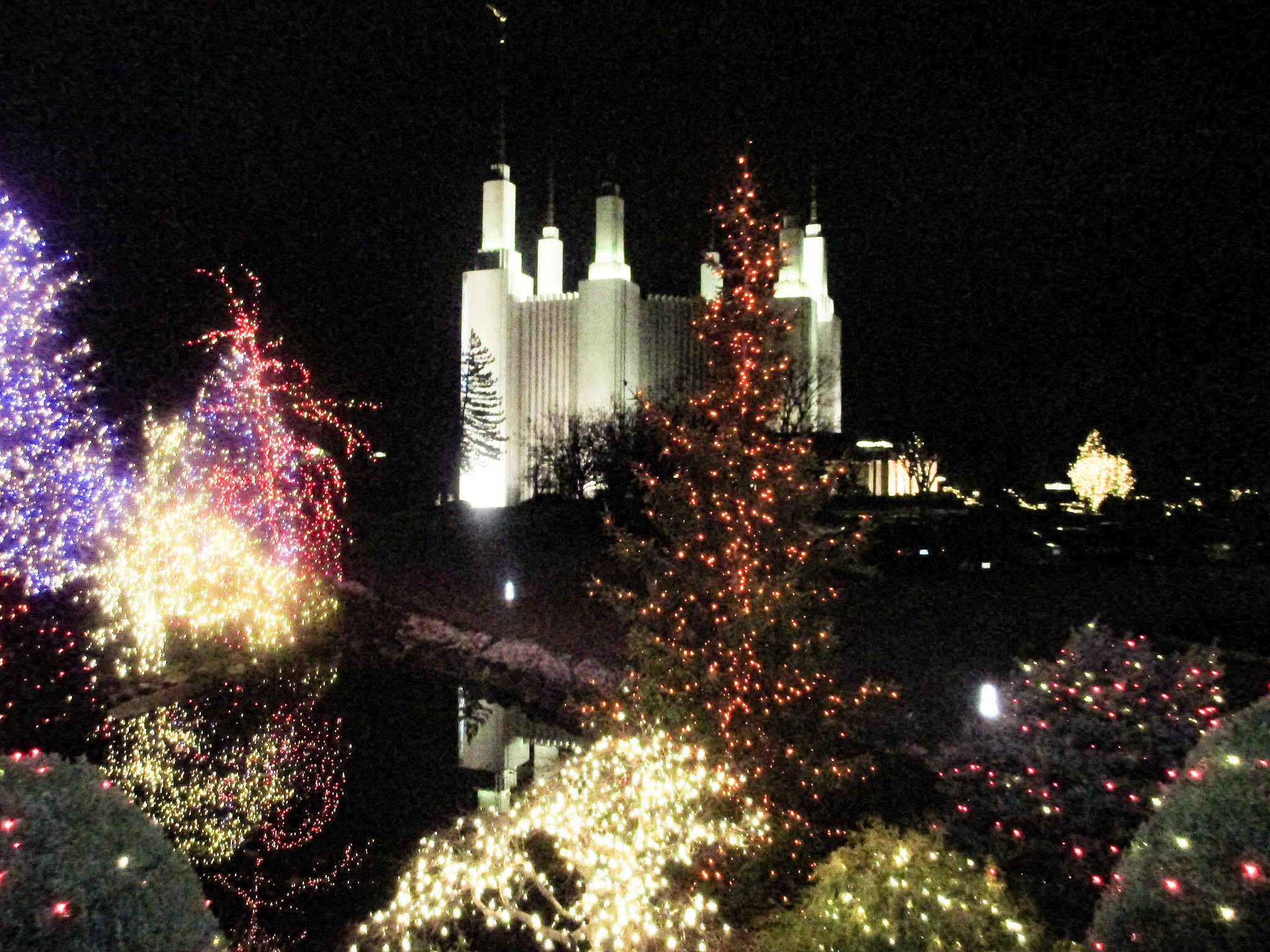 Washington DC Christmas 10 Amazing Holiday Activities Local Passport