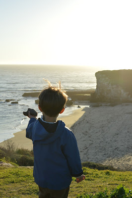 Old Landing Cove Trail - Bay Area Hiking