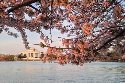 225 Top Things to Do in Washington DC with Kids featured by top US family travel blog, Local Family Passport