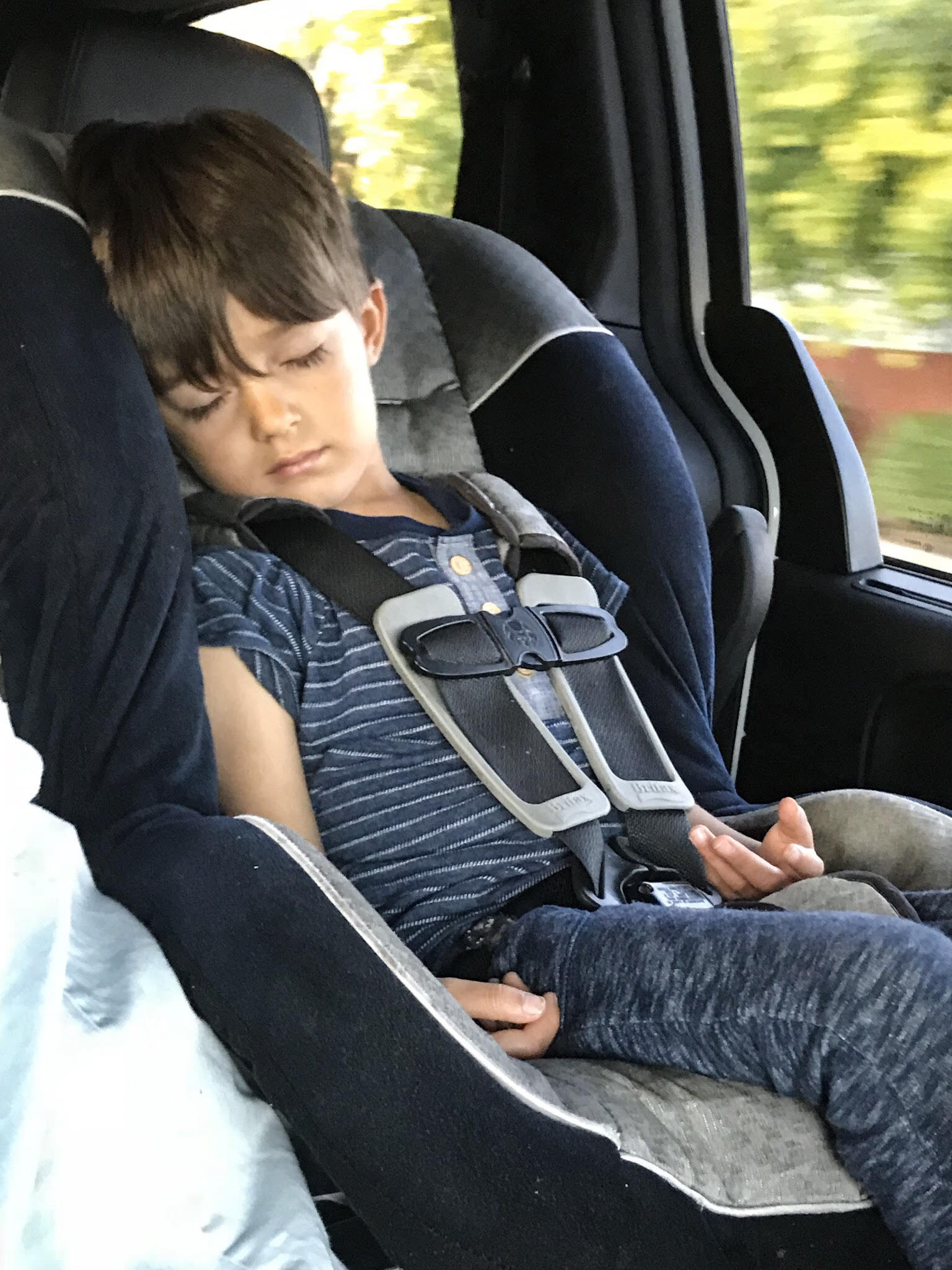 Renting a Car Seat? Here's What You Need to Know — Half Pint Travel