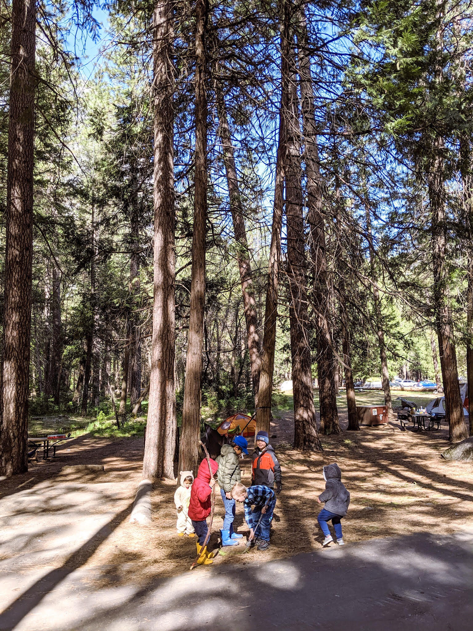 camping with kids yosemite large group accommodations