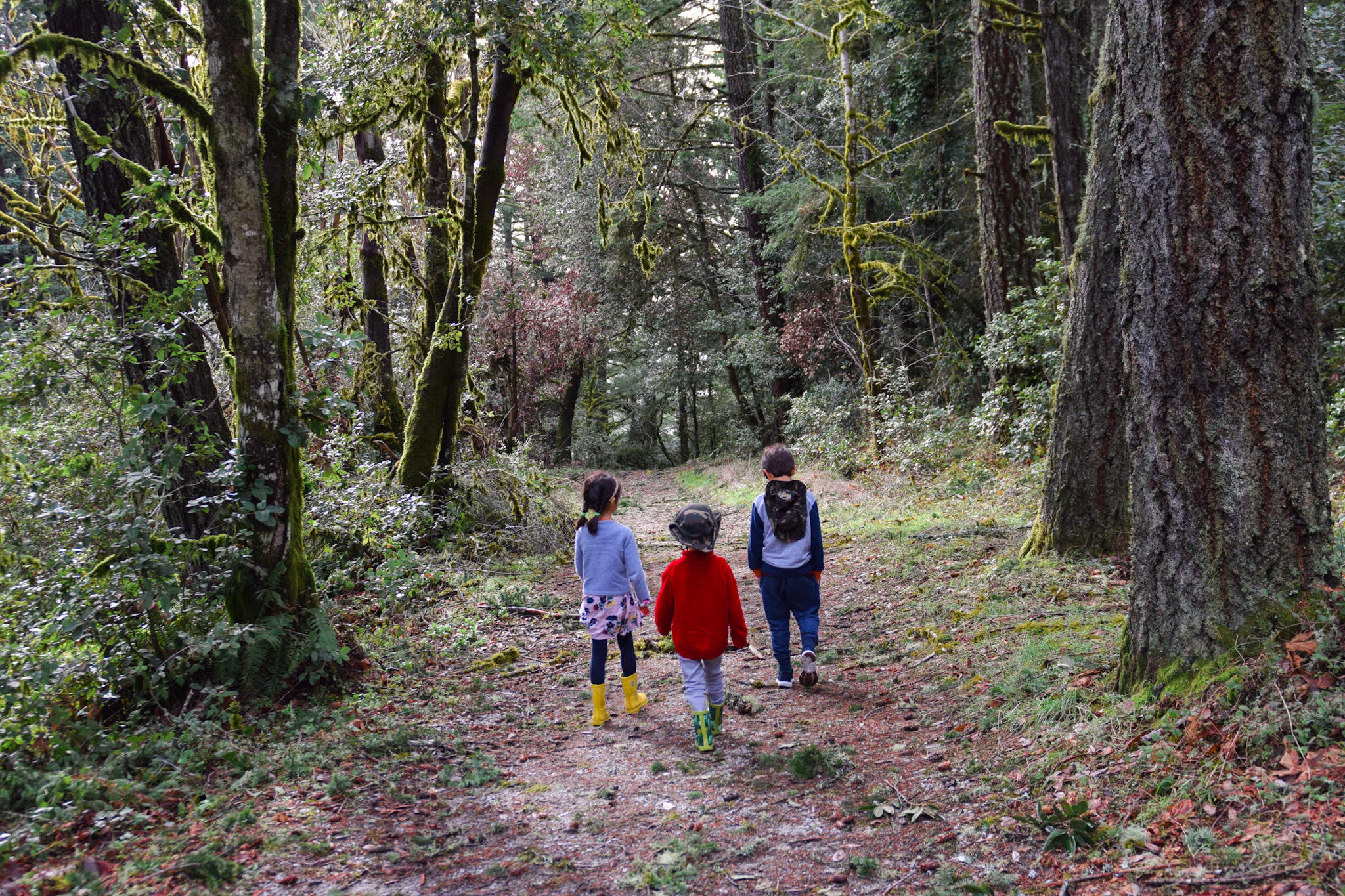 hikes with kids tips for making it fun