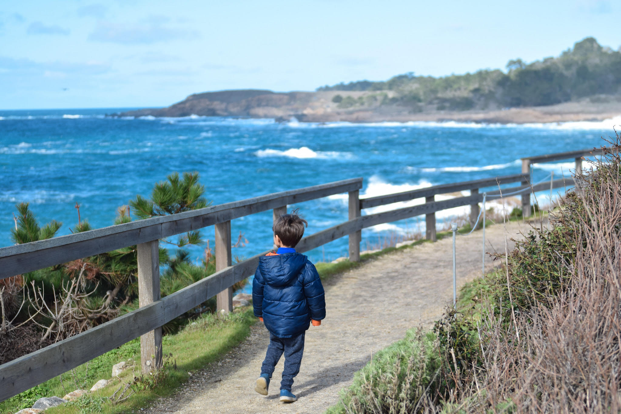 monterey bay hikes with kids