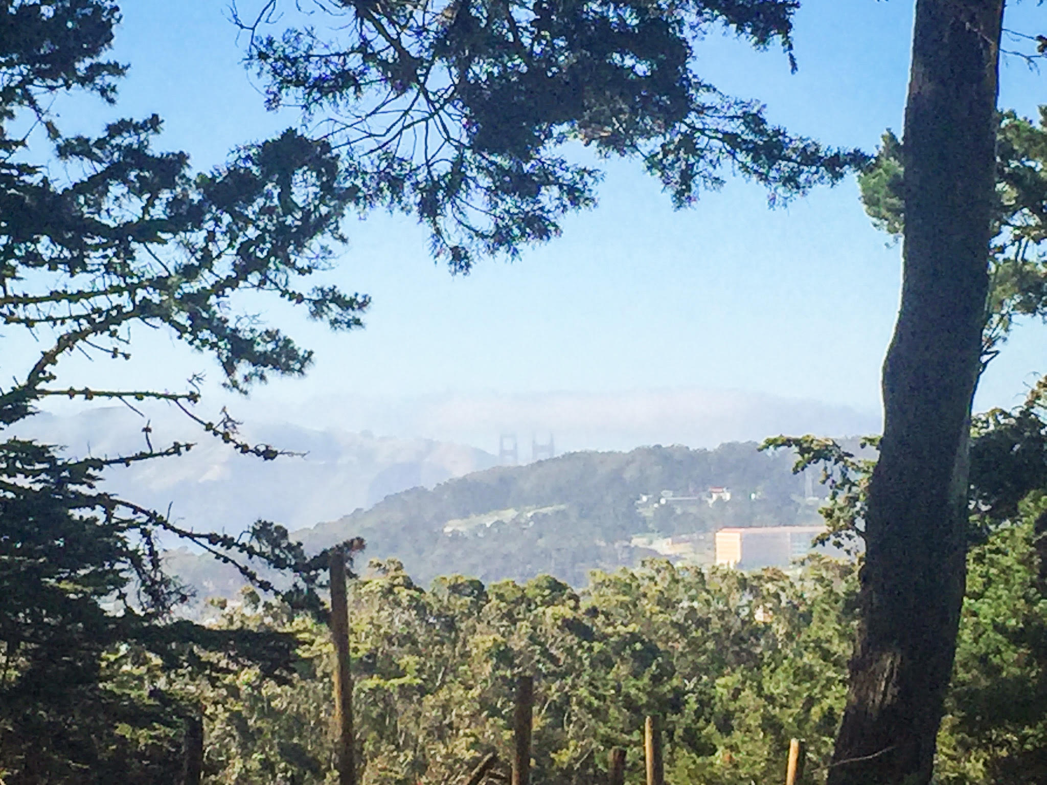 view from strawberry hill san francisco hike