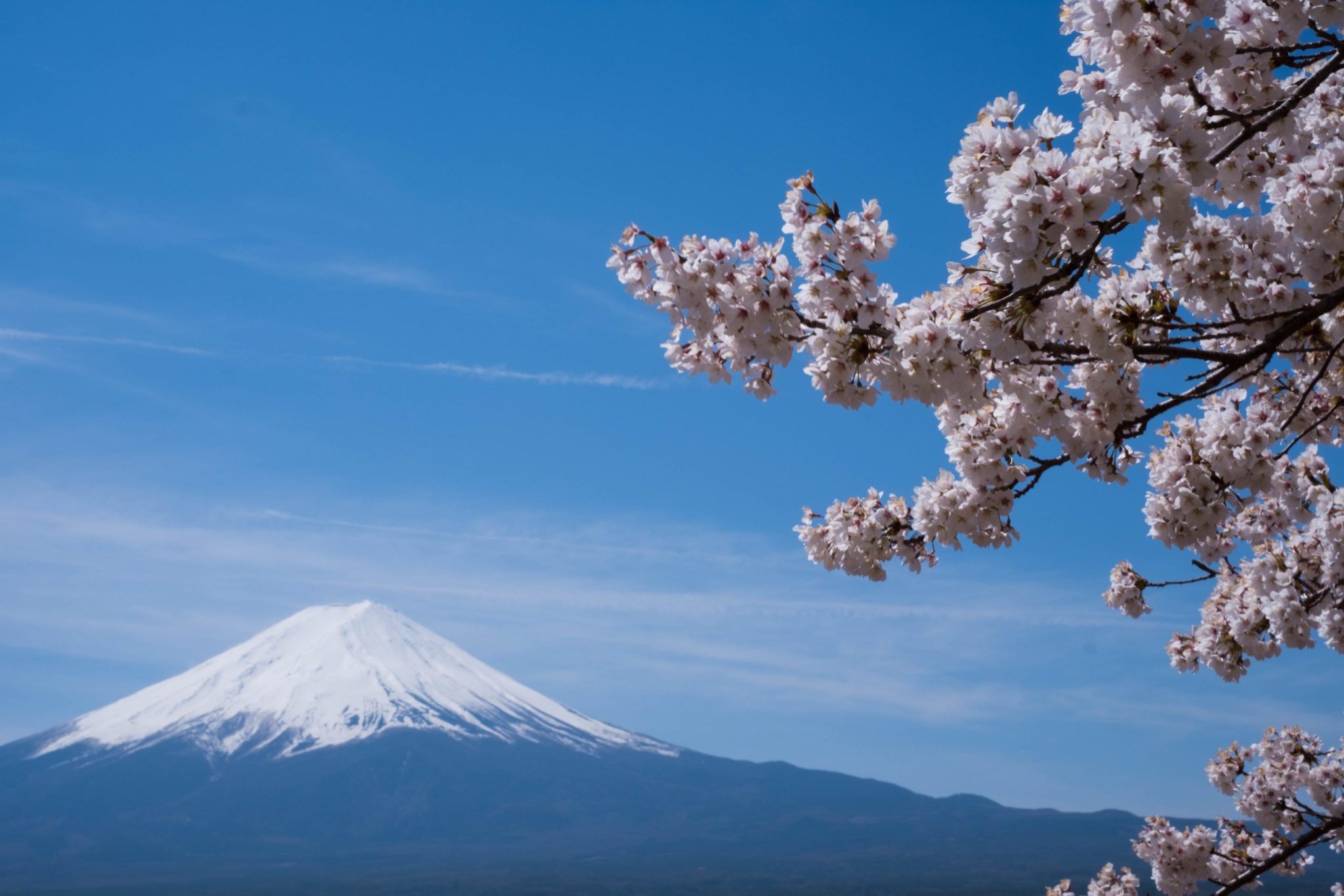 field trips in japan