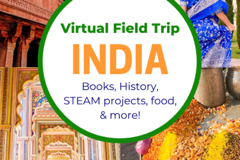 india virtual tour with kids