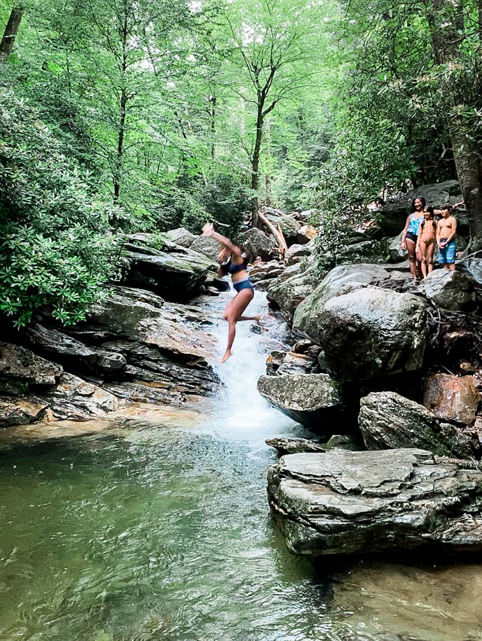 asheville waterfall hikes
