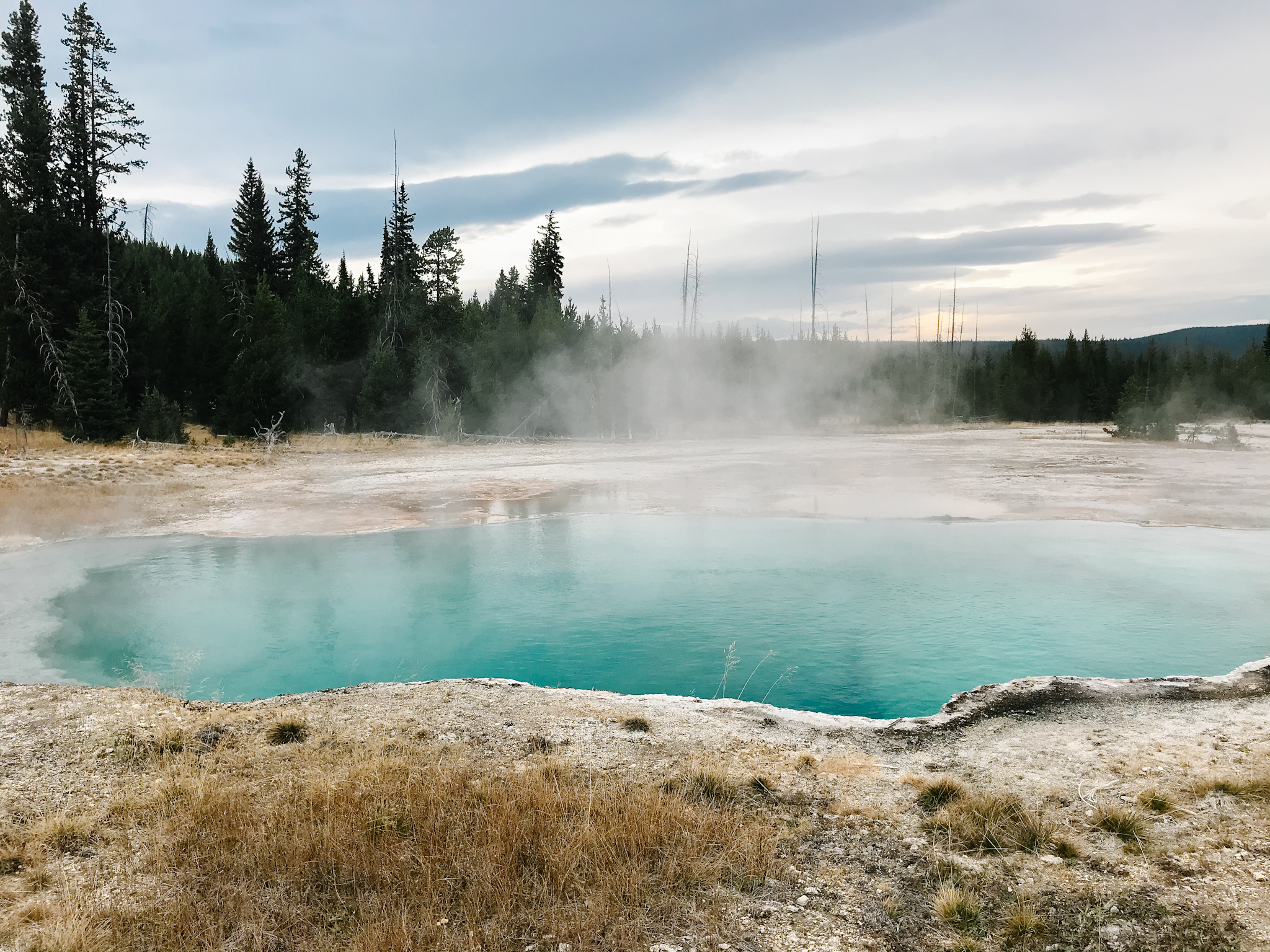 visiting yellowstone with toddlers, yellowstone itinerary