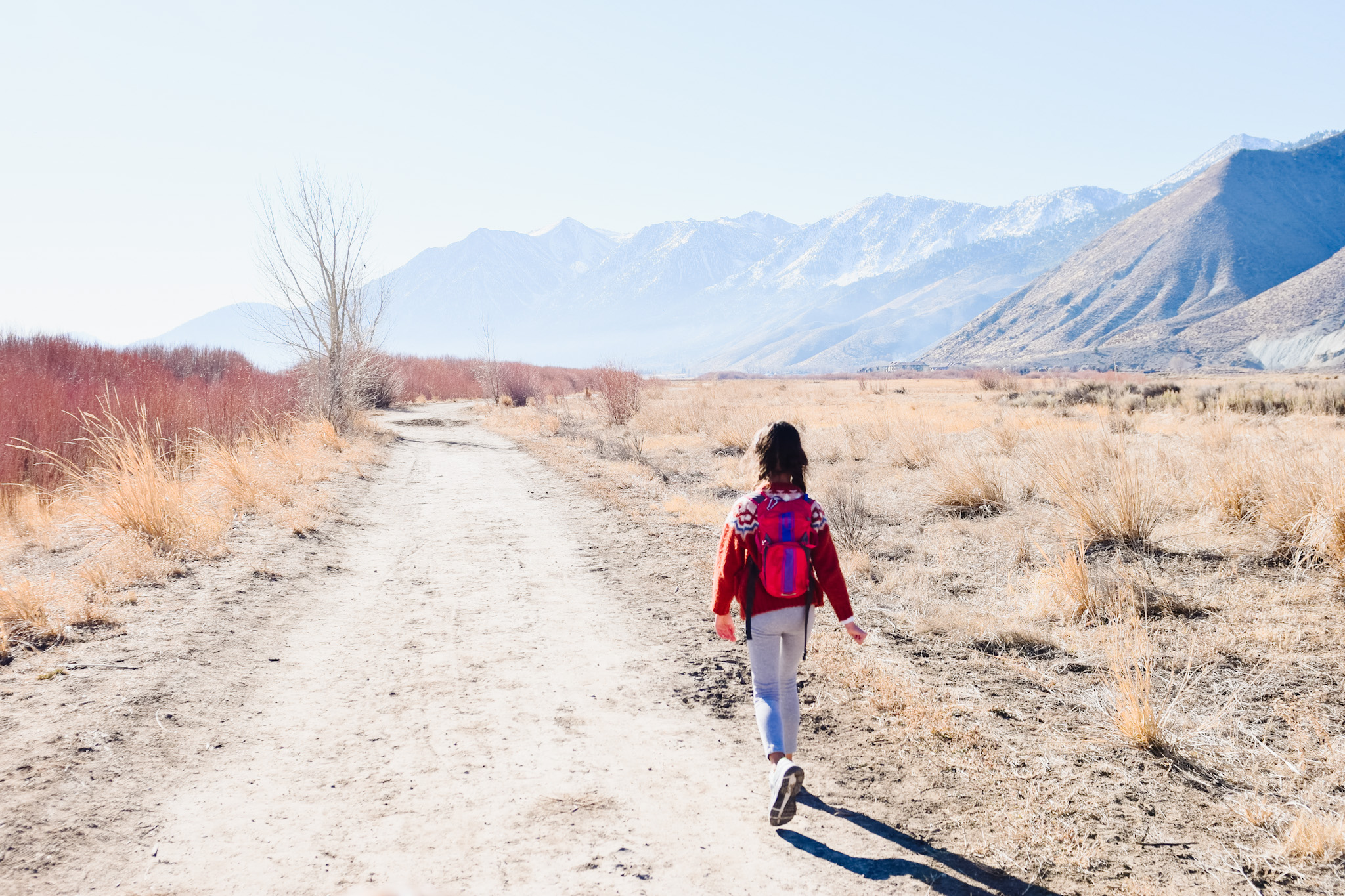 carson valley and lake tahoe with kids