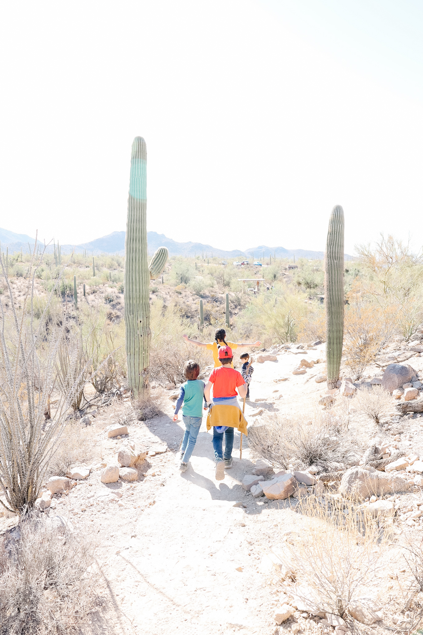 Saguaro Run Trail Rosa Niños - Saguaro México