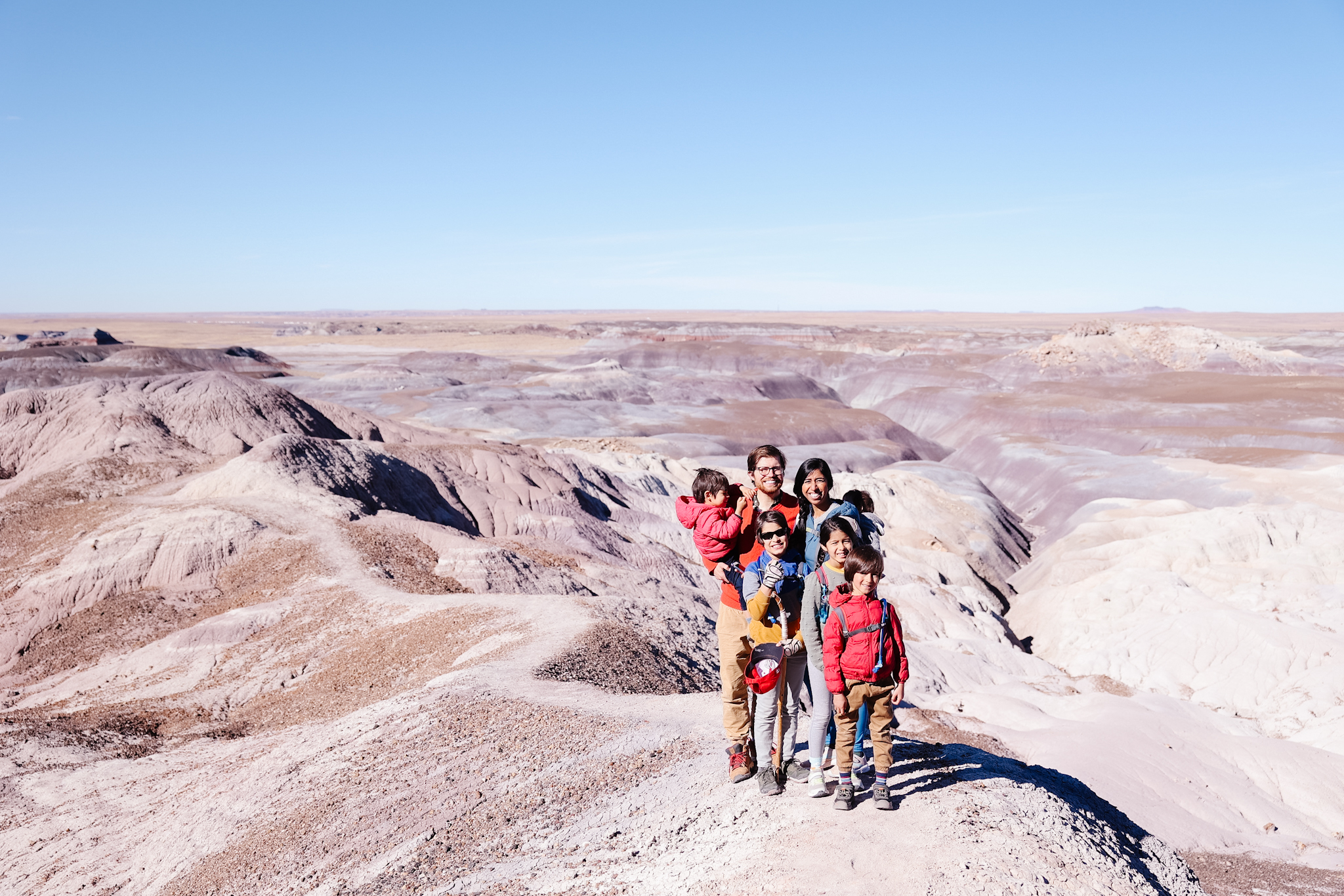 are dogs allowed in petrified forest