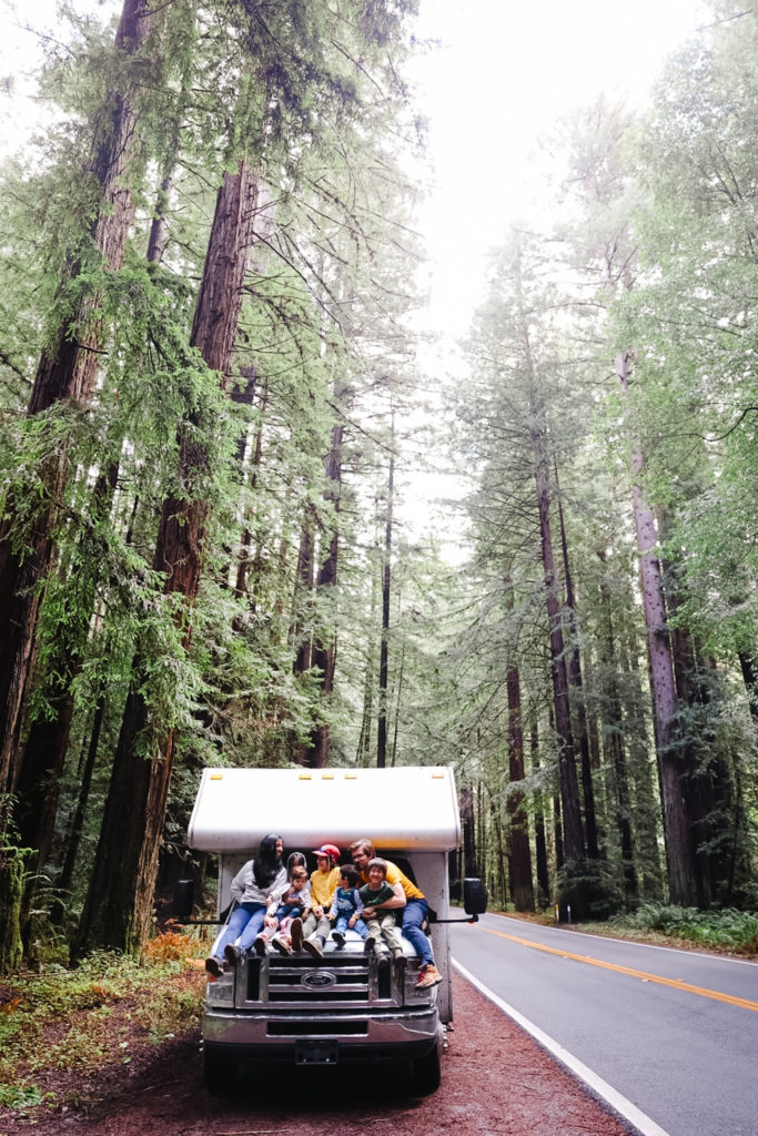 best road trips in northern california