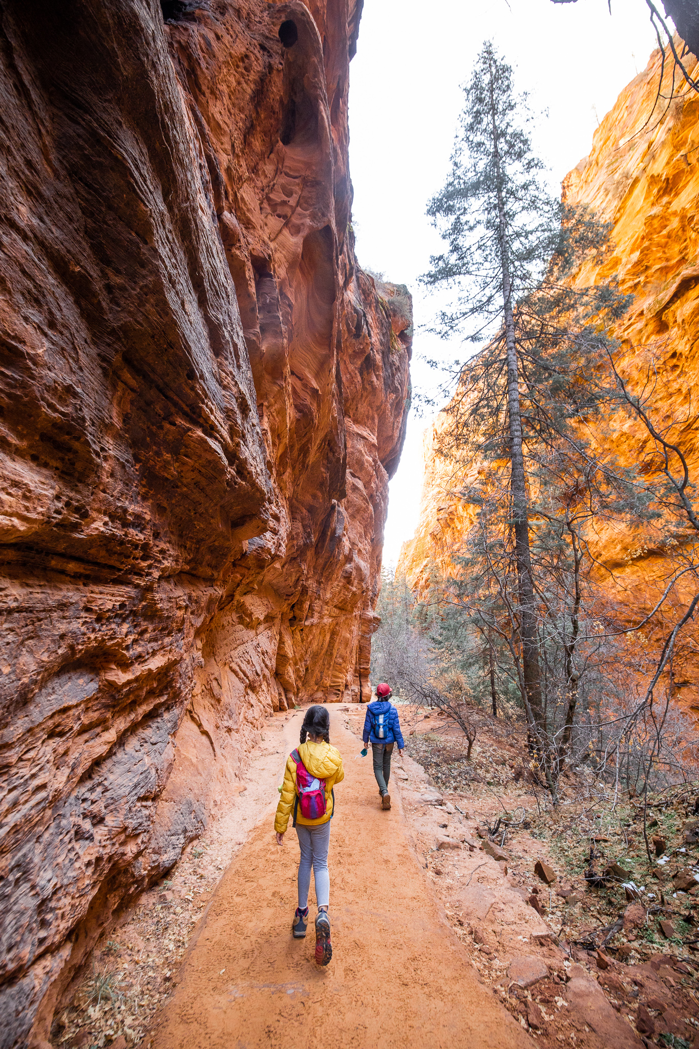 scouts lookout zion