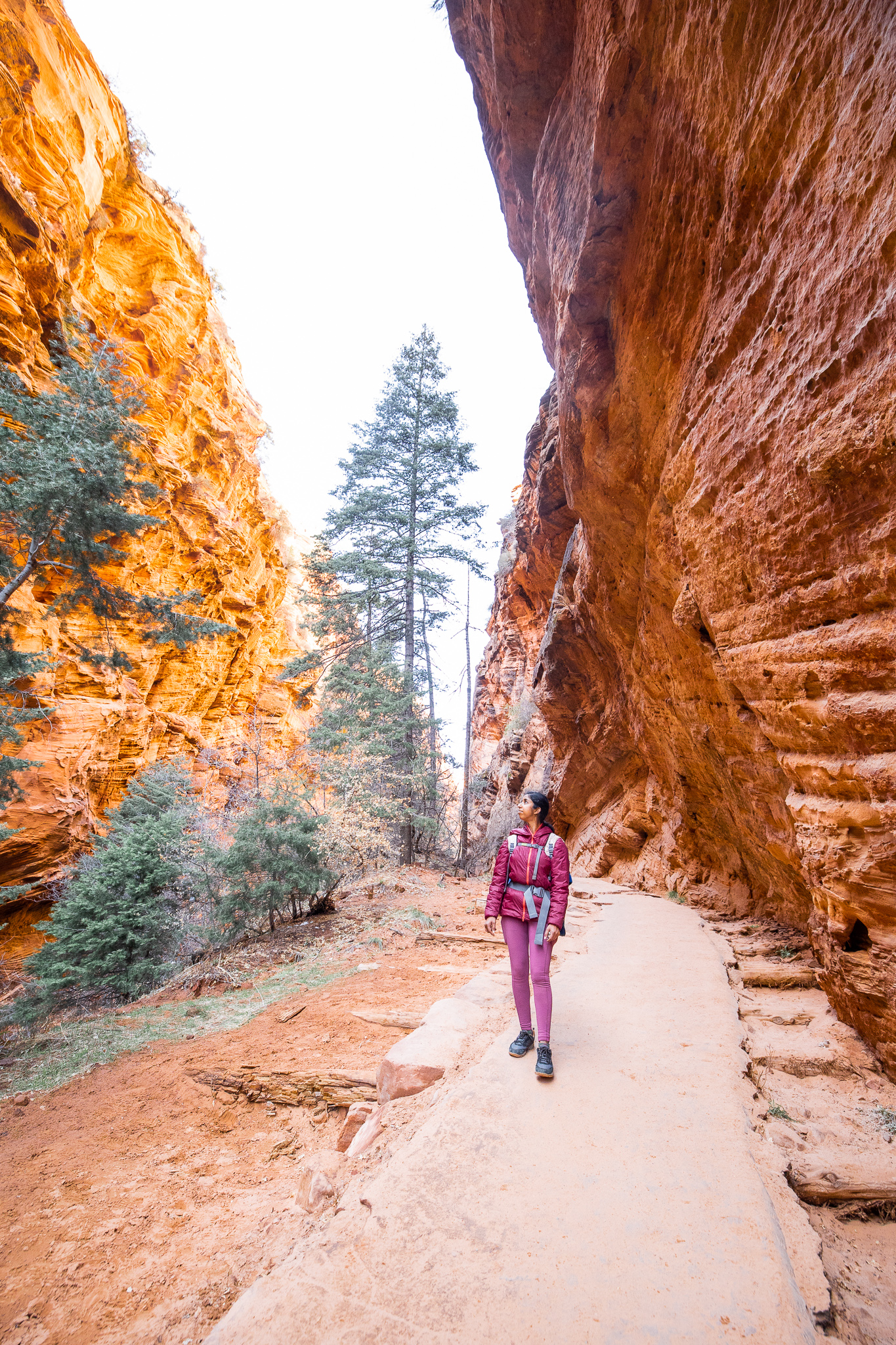 scout lookout trail zion national park