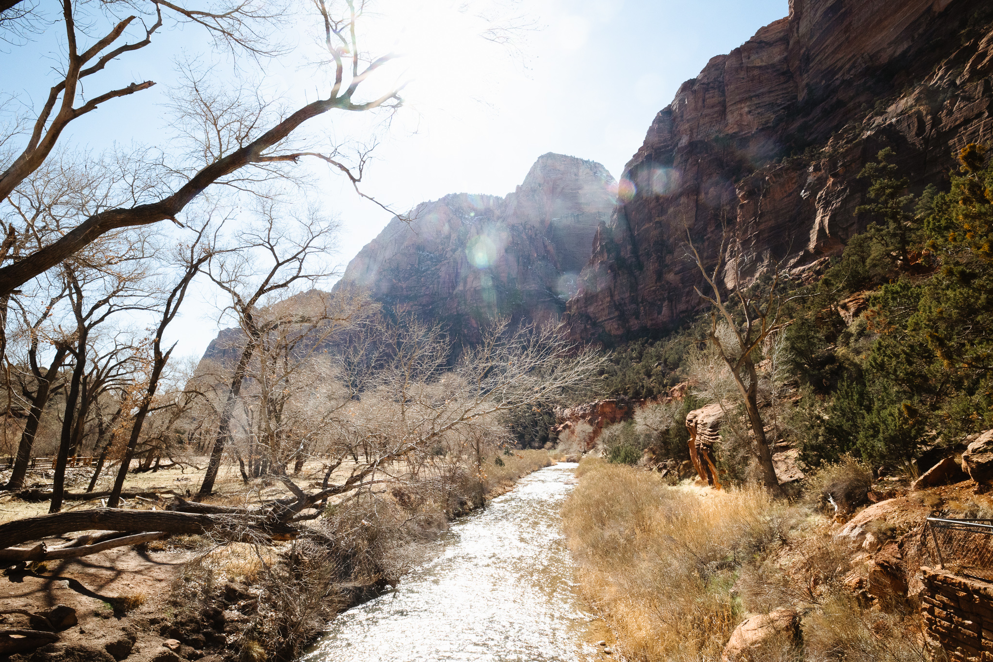 hiking in zion national park with kids
