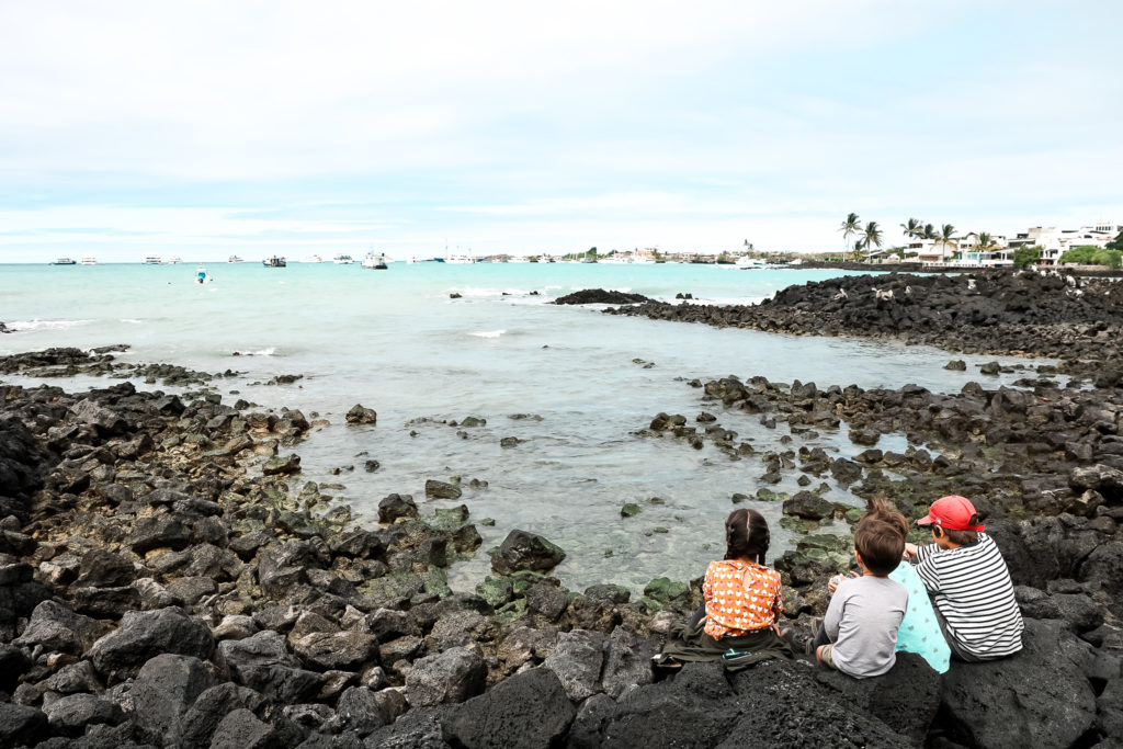 galapagos land based tour or cruise