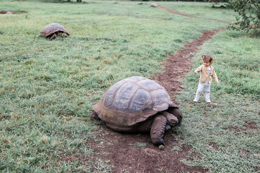 galapagos land tour with kids