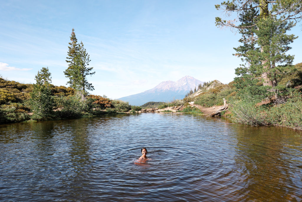 things to do in mt shasta