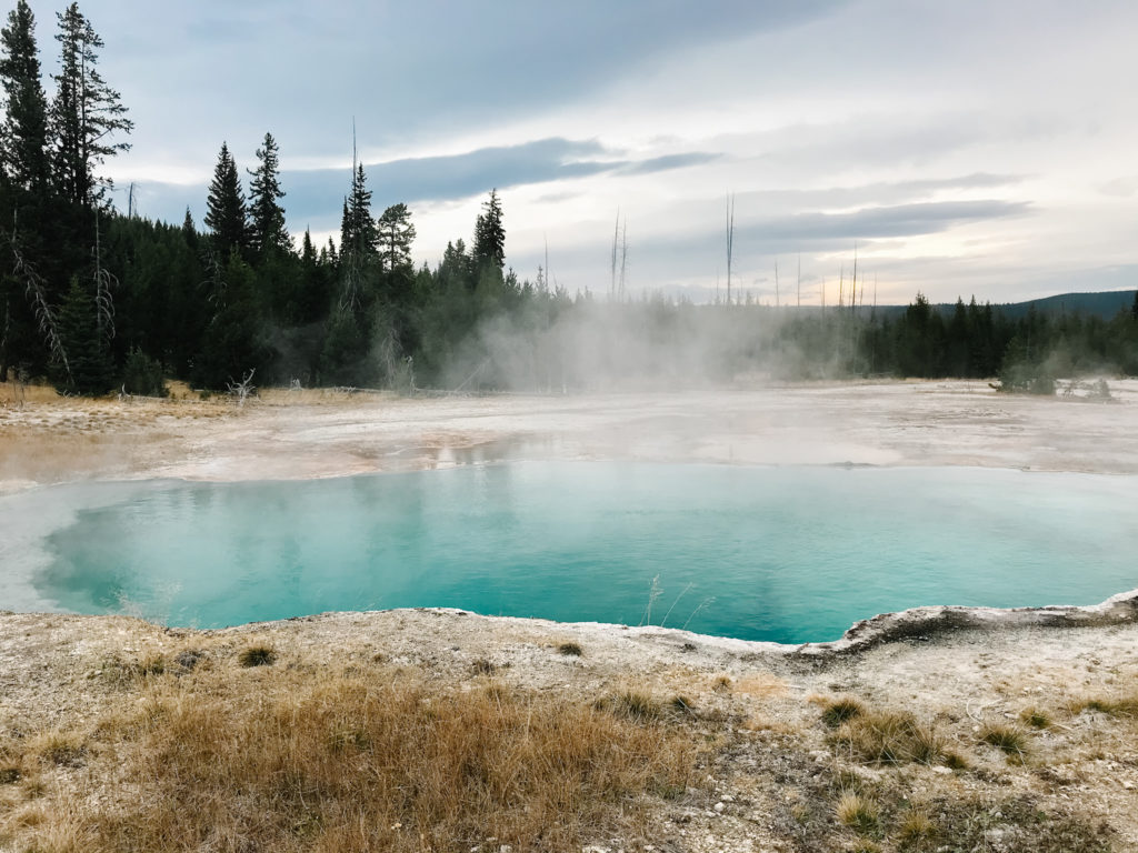 yellowstone activities for kids