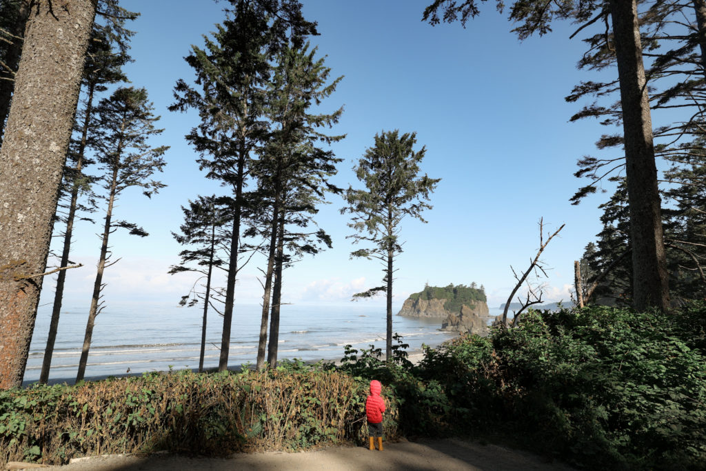 ruby beach with kids