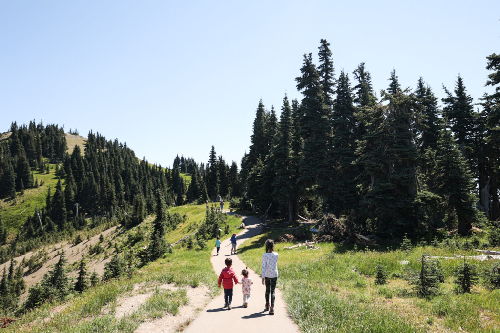 hurricane ridge olympic national park