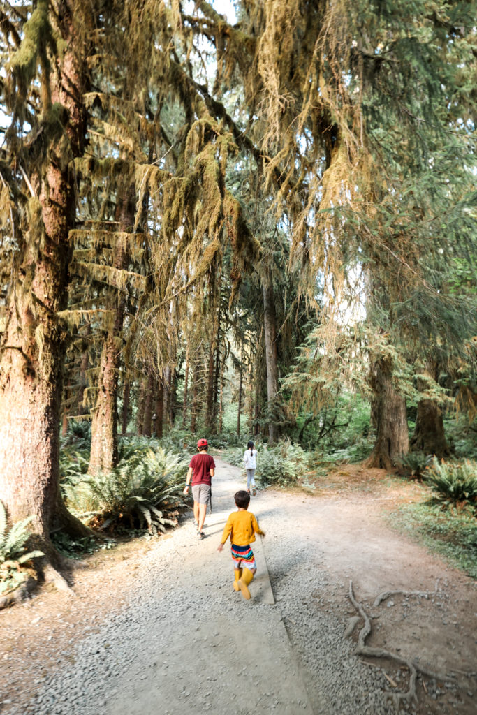 hoh rainforest hikes with kids