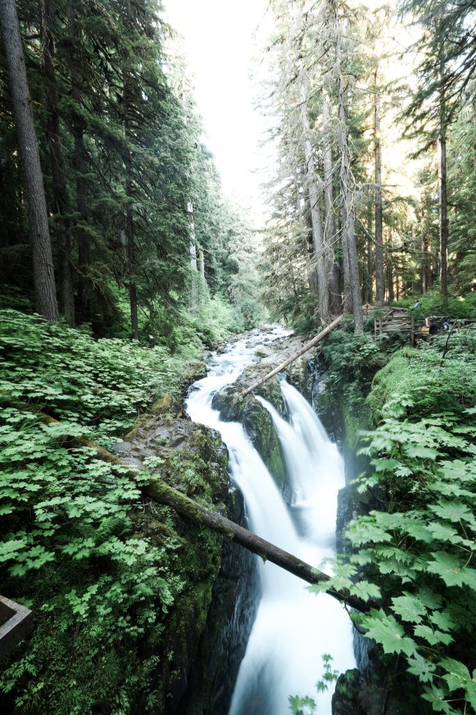 sol duc falls hike with kids