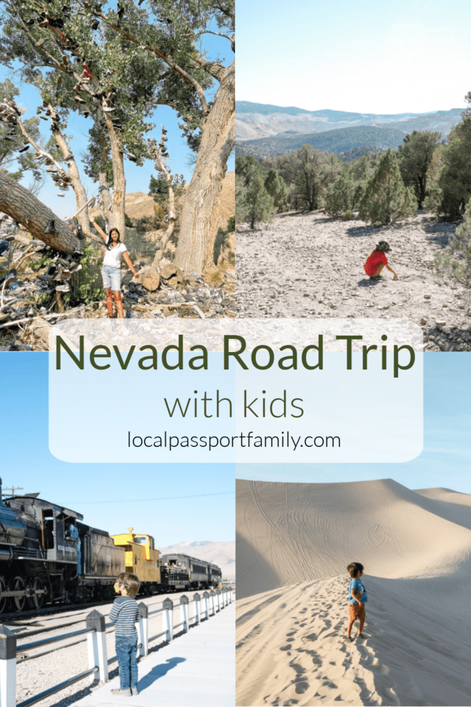 Nevada road trip with kids, local passport family