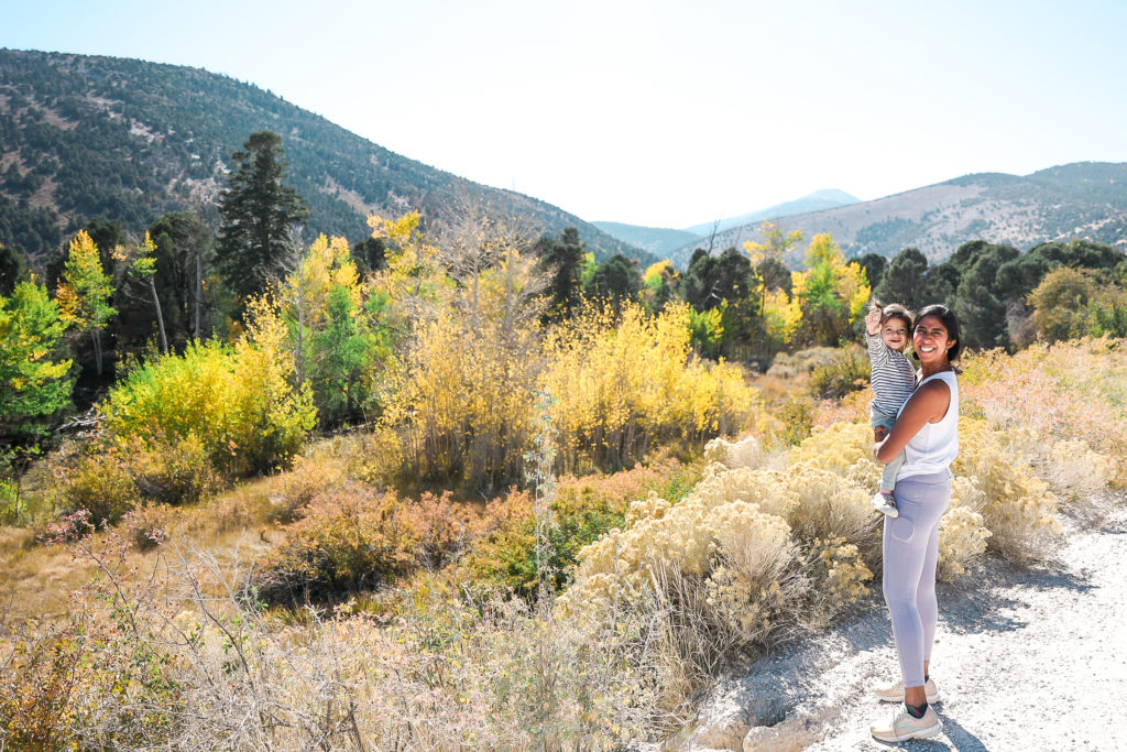 great basin national park nevada with kids