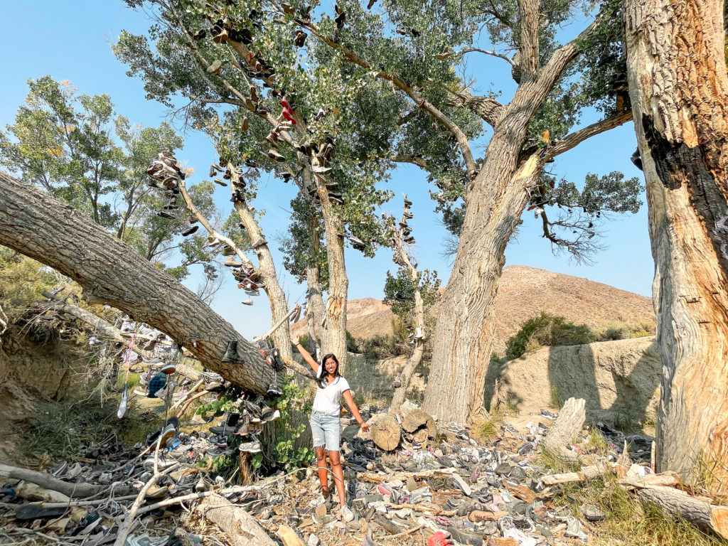 nevada shoe tree loneliest road