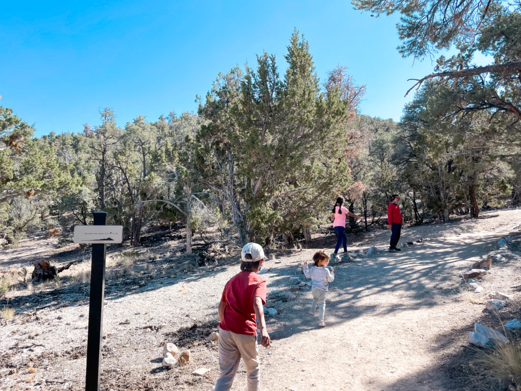 visiting great basin national park best things to do