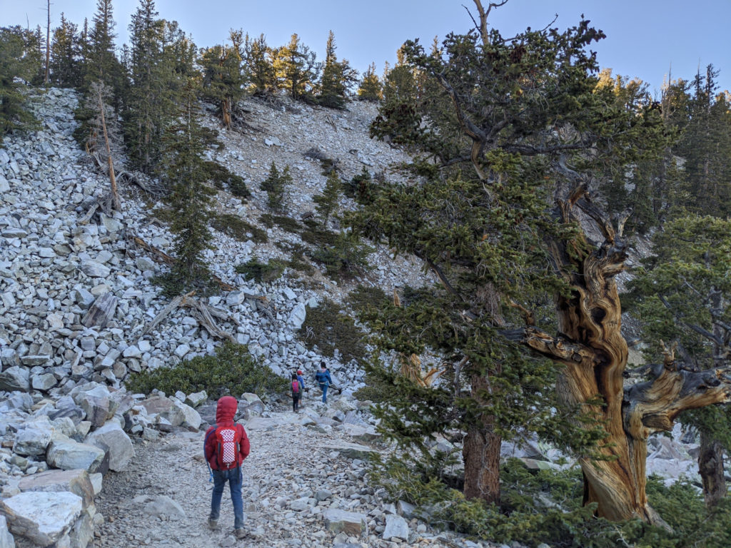 hiking with kids in great basin