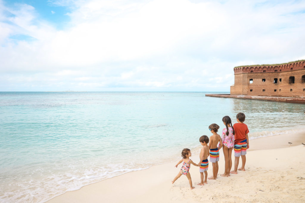 swimming at Dry Tortugas