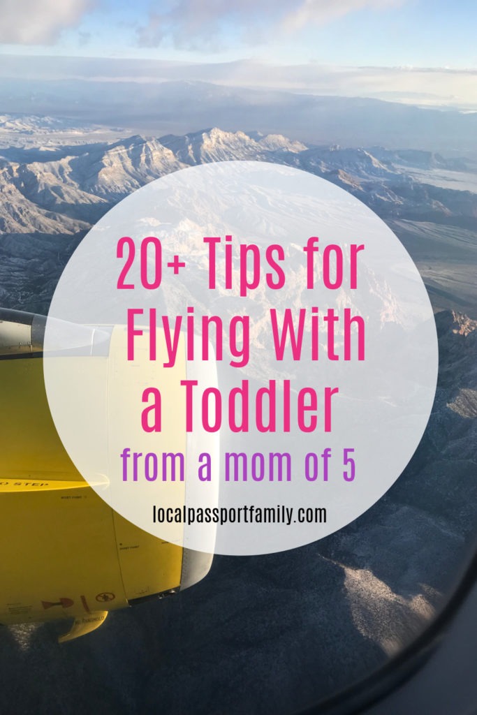 20+ tips for flying with a toddler, local passport family