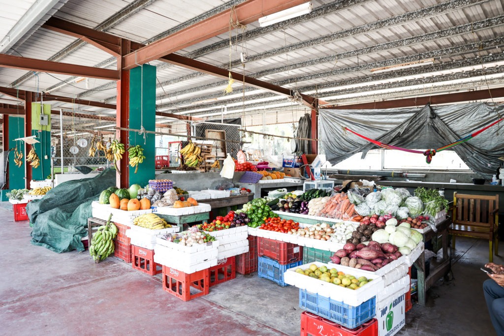 San Ignacio Farmers Market