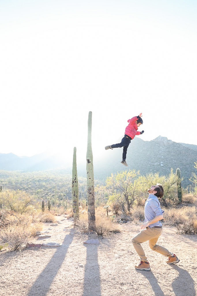 saguaro national park in january