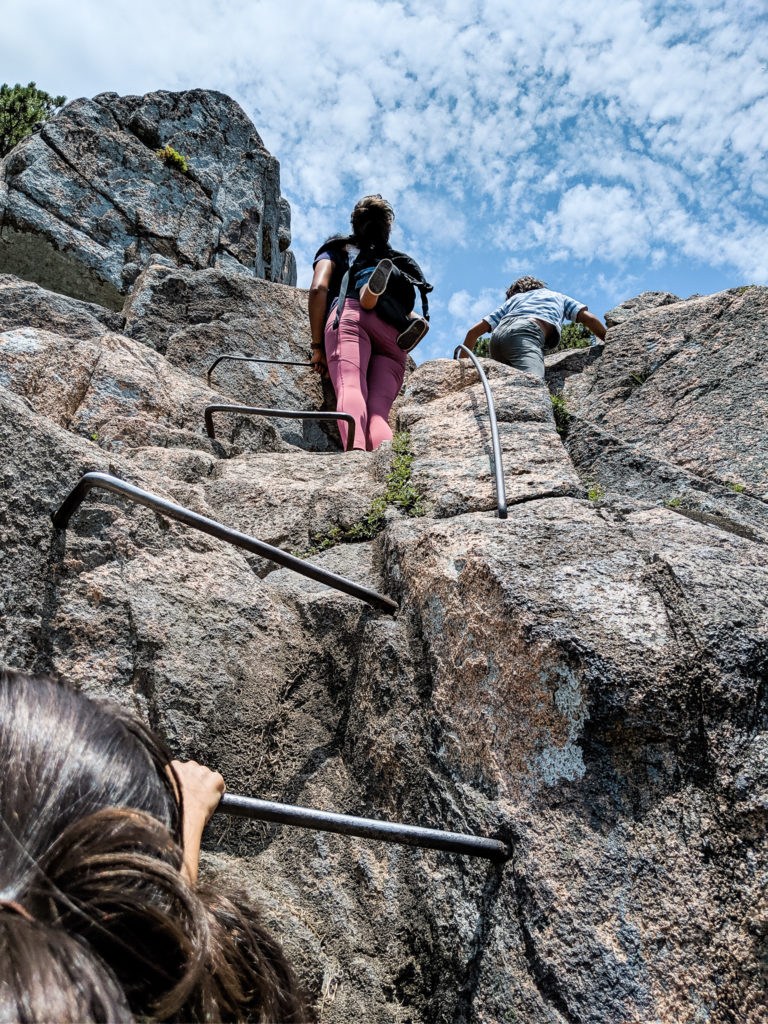 acadia hiking trails with kids