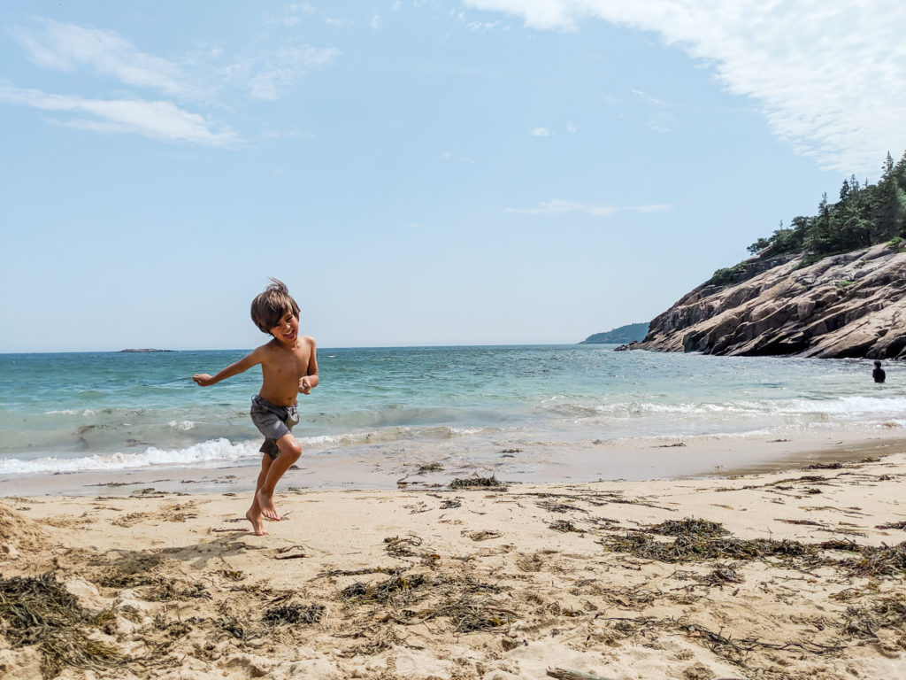 family activities acadia national park