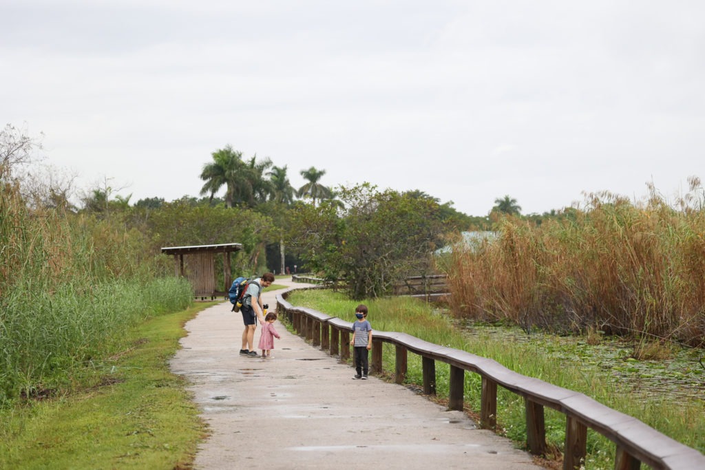 best everglades national park tours