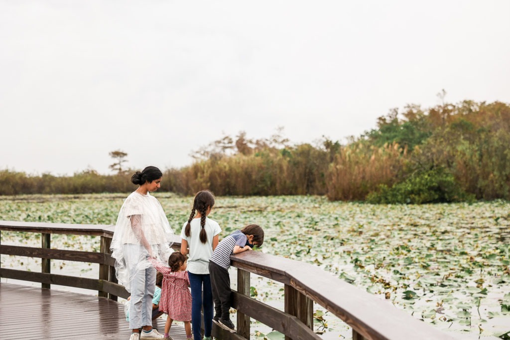 best everglades national park tours