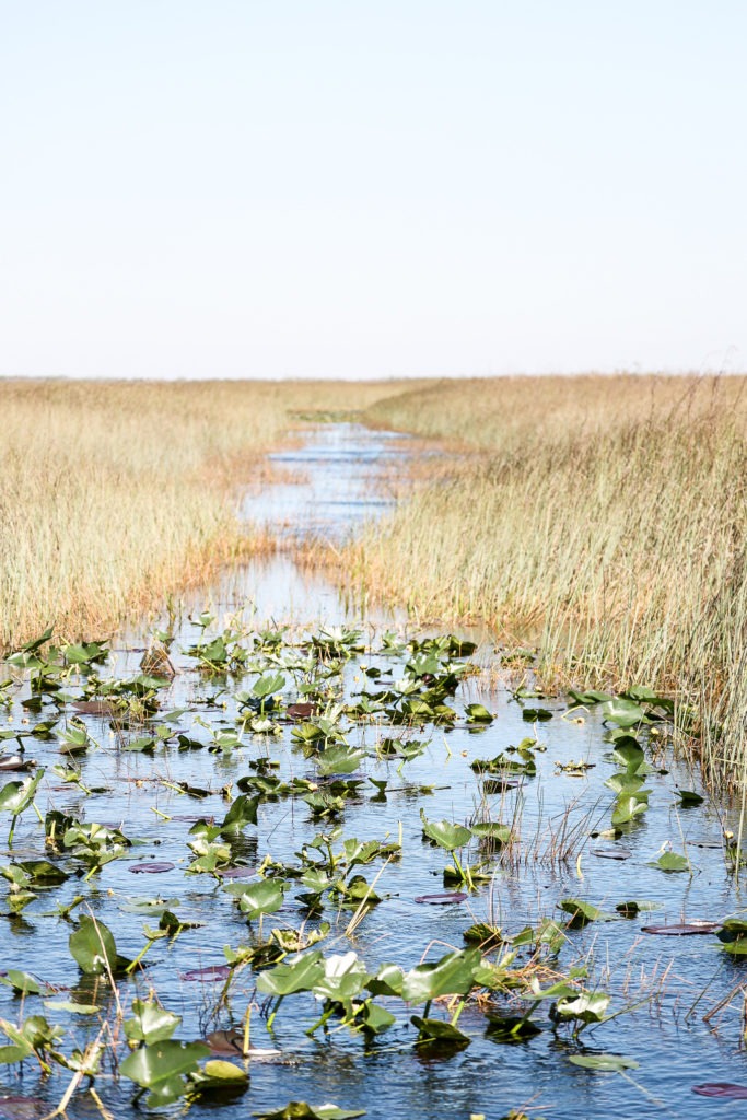 best everglades national park tours