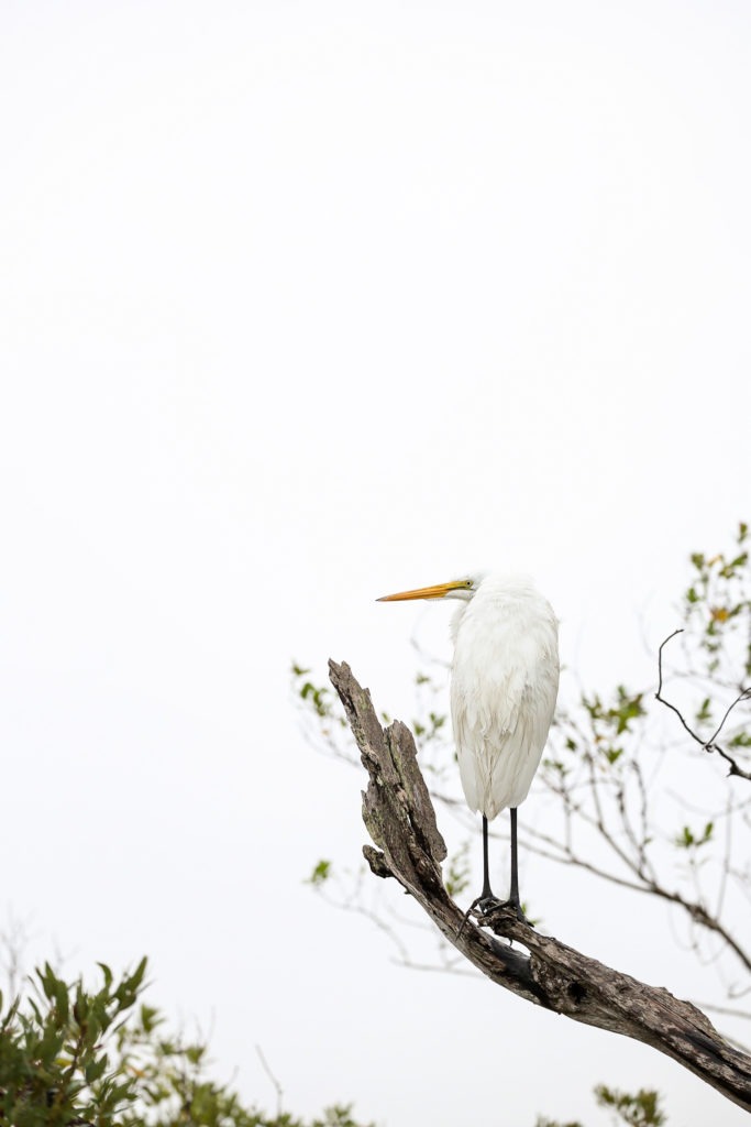 best everglades national park tours