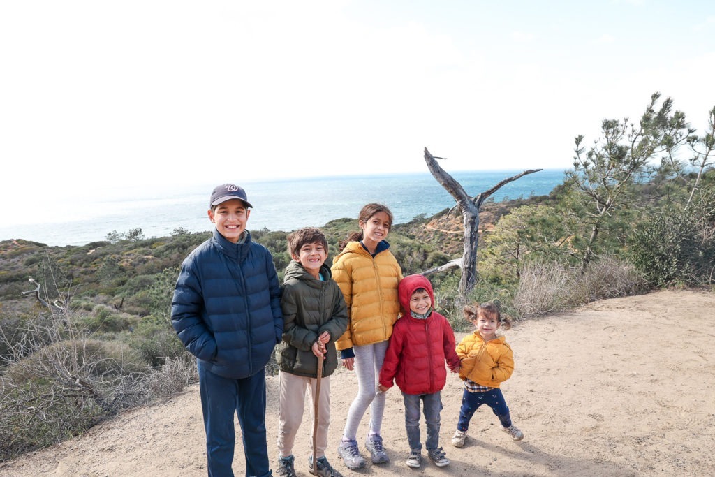 things to do in san diego torrey pines
