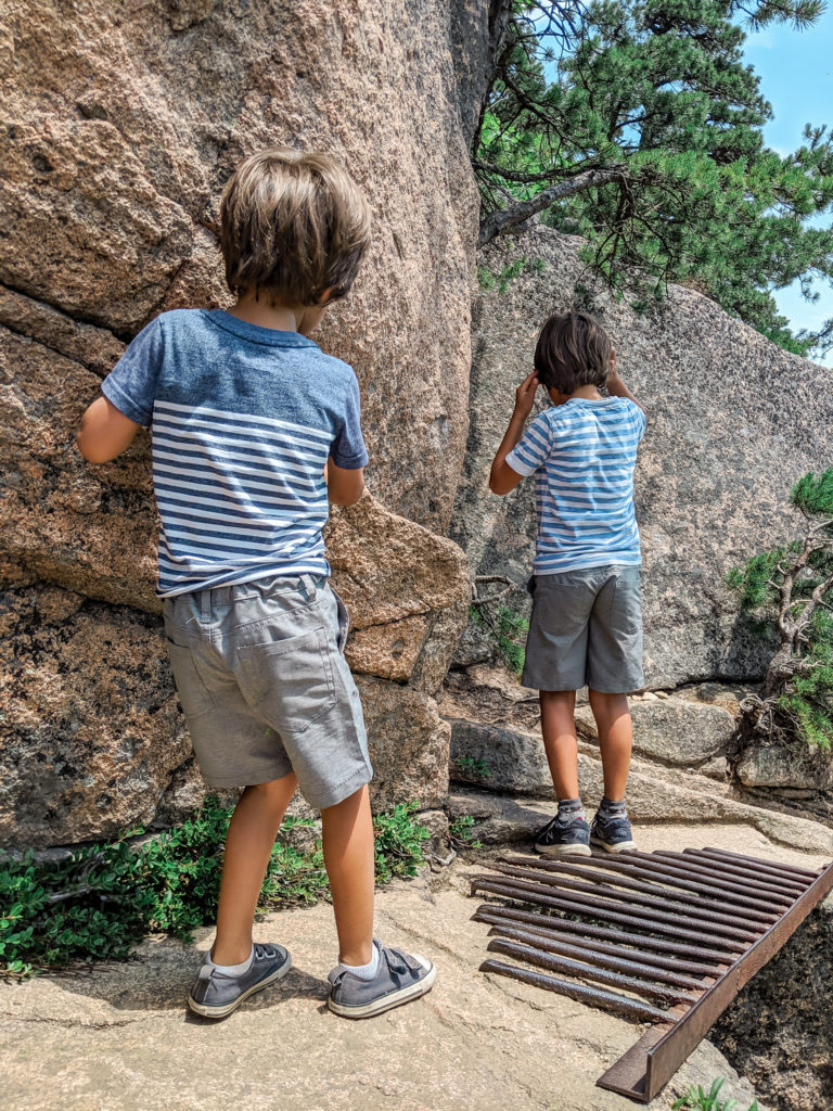 acadia family vacation