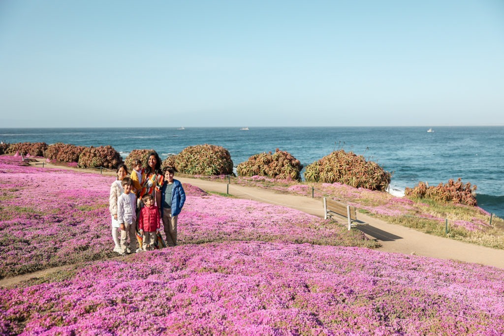 things to do in monterey with kids