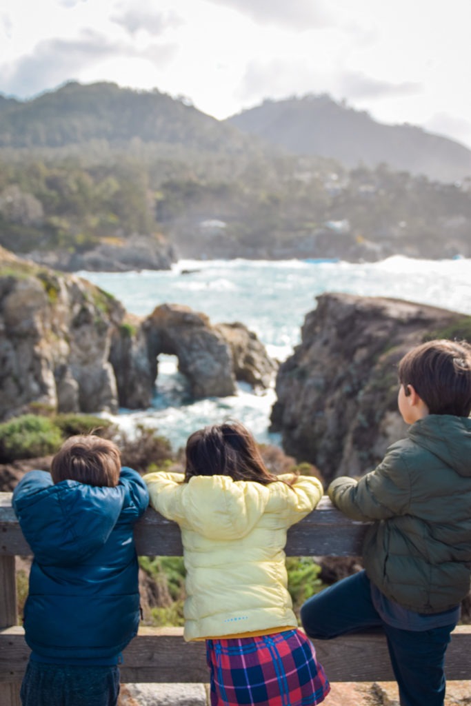 point lobos with kids