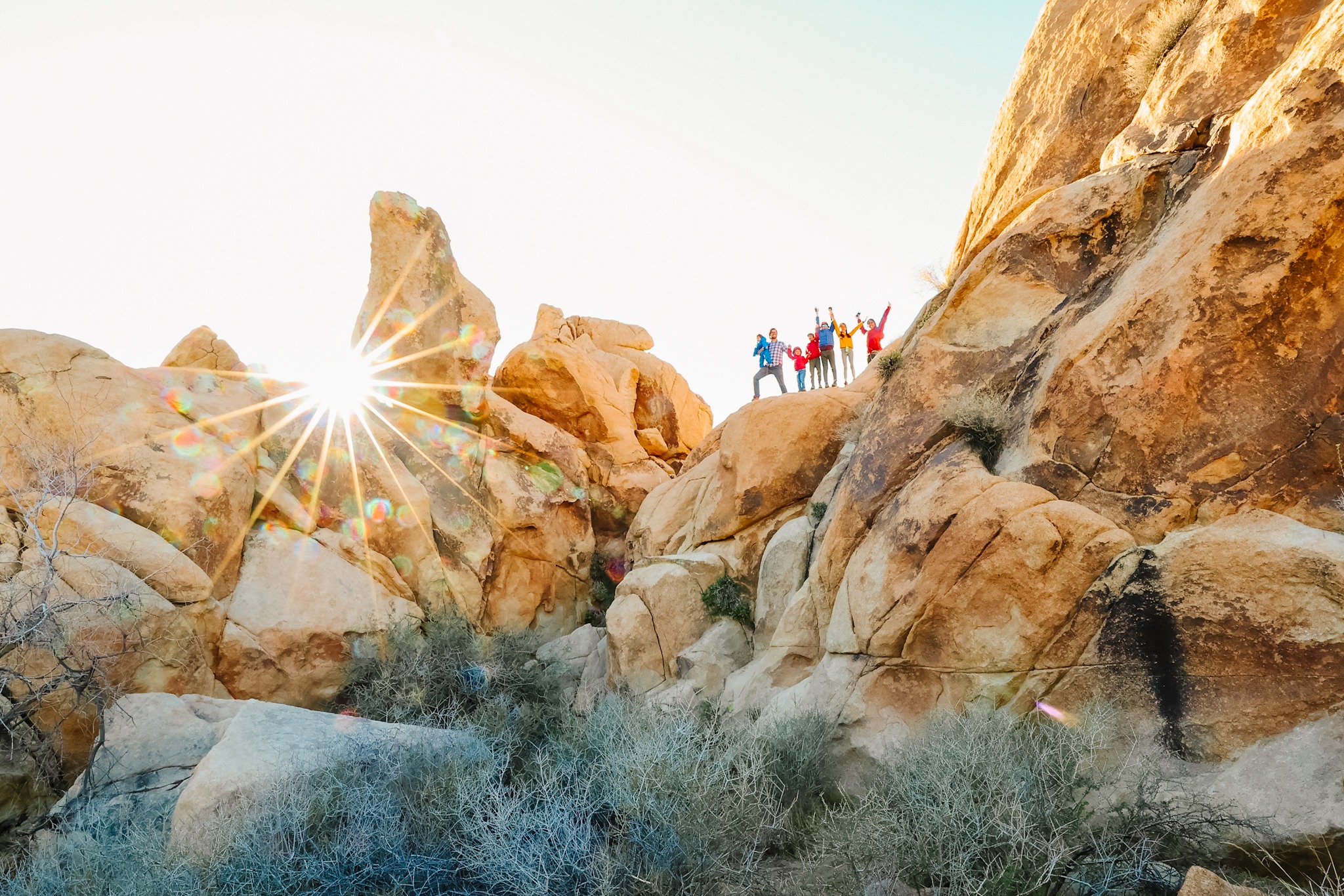 Ultimate Guide to Joshua Tree National Park: Best Things to Do in ...
